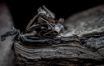 Libro in abbandono