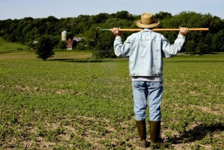 Partita Iva per imprenditori agricoli: come fare per aprirla