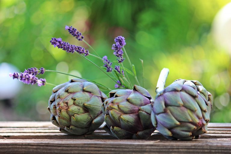 Come congelare i carciofi crudi benefici, valori nutritivi e