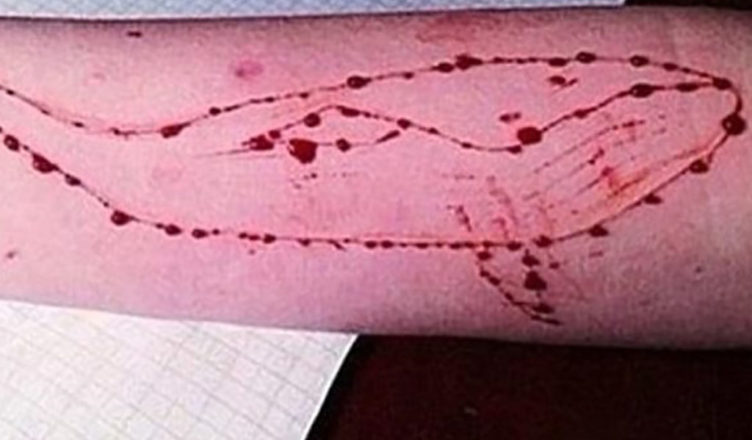 blue whale