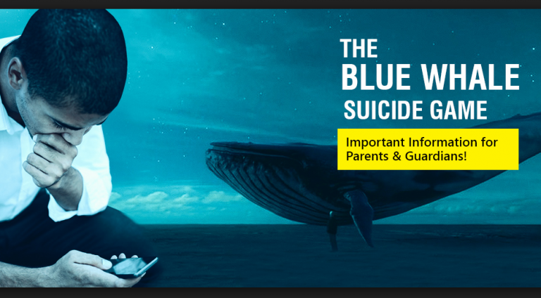 blue whale