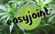 easyjoint canapa