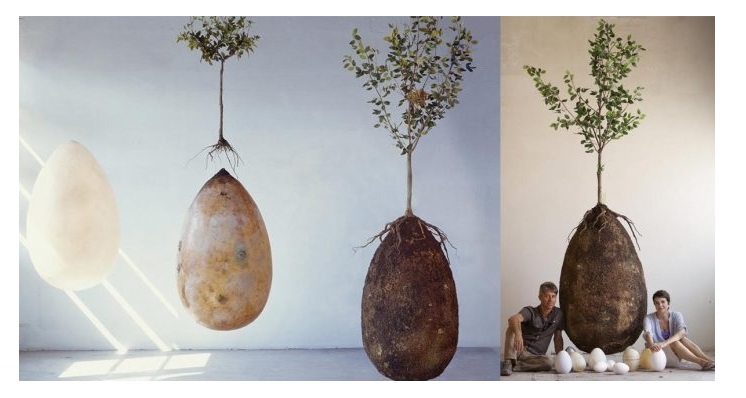 Capsula Mundi