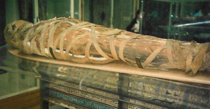 egyptian-mummy_zpsnzyoz8ri-696x361 mellificazione