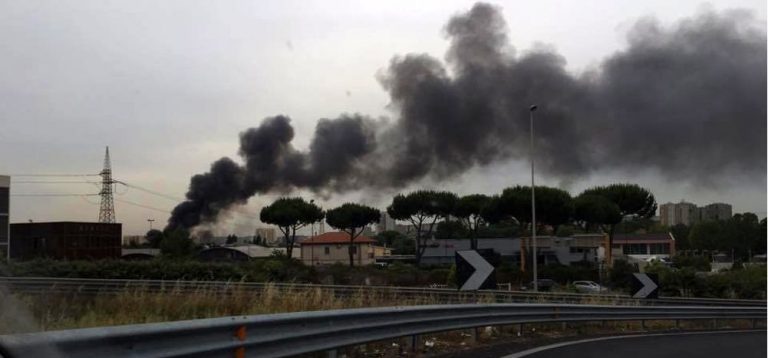 roma