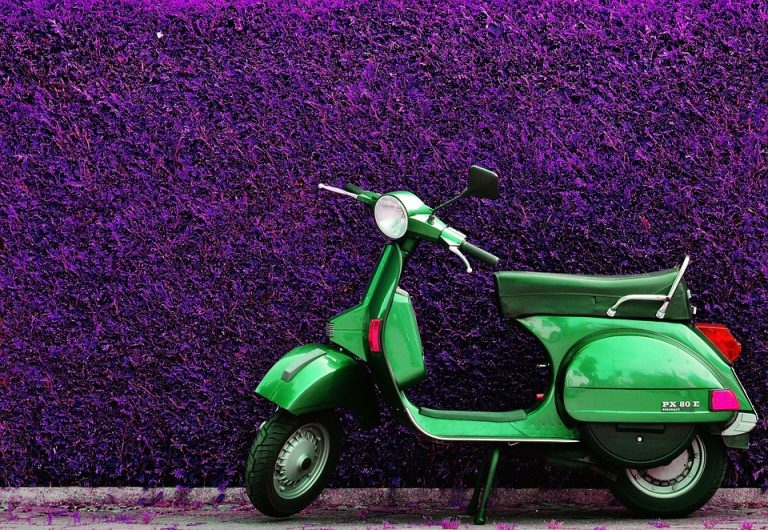 motorino motorino