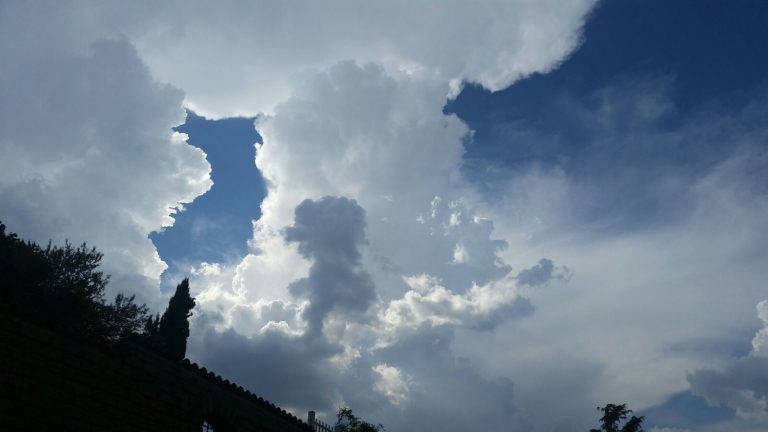 previsioni