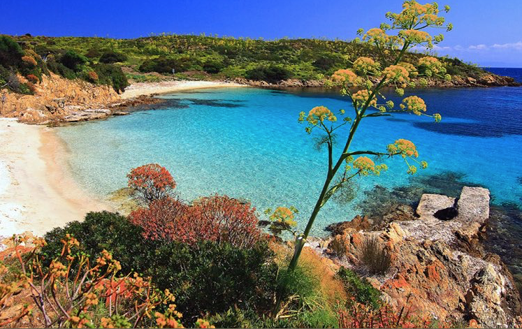 Temptation Island