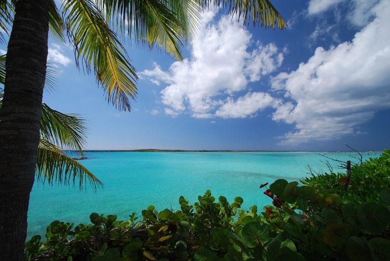 Caraibi