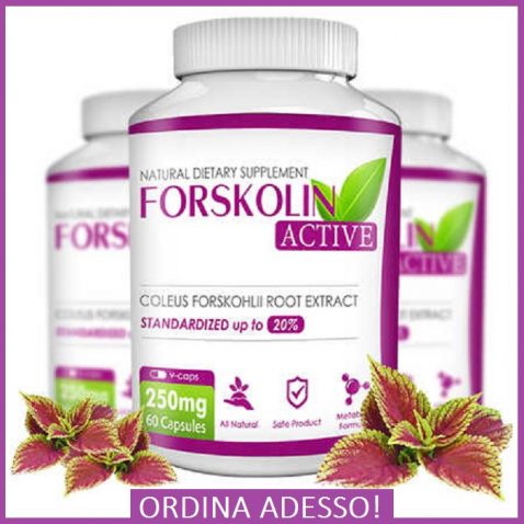 forskolin-active
