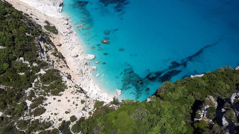 mare