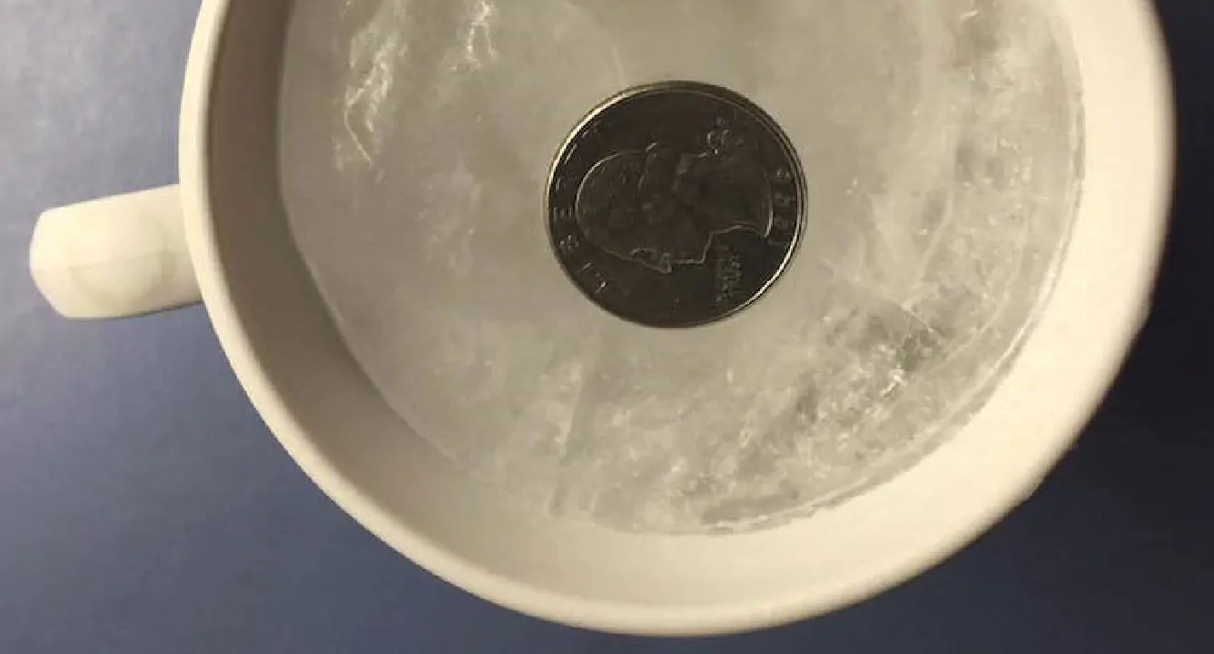 moneta nel freezer