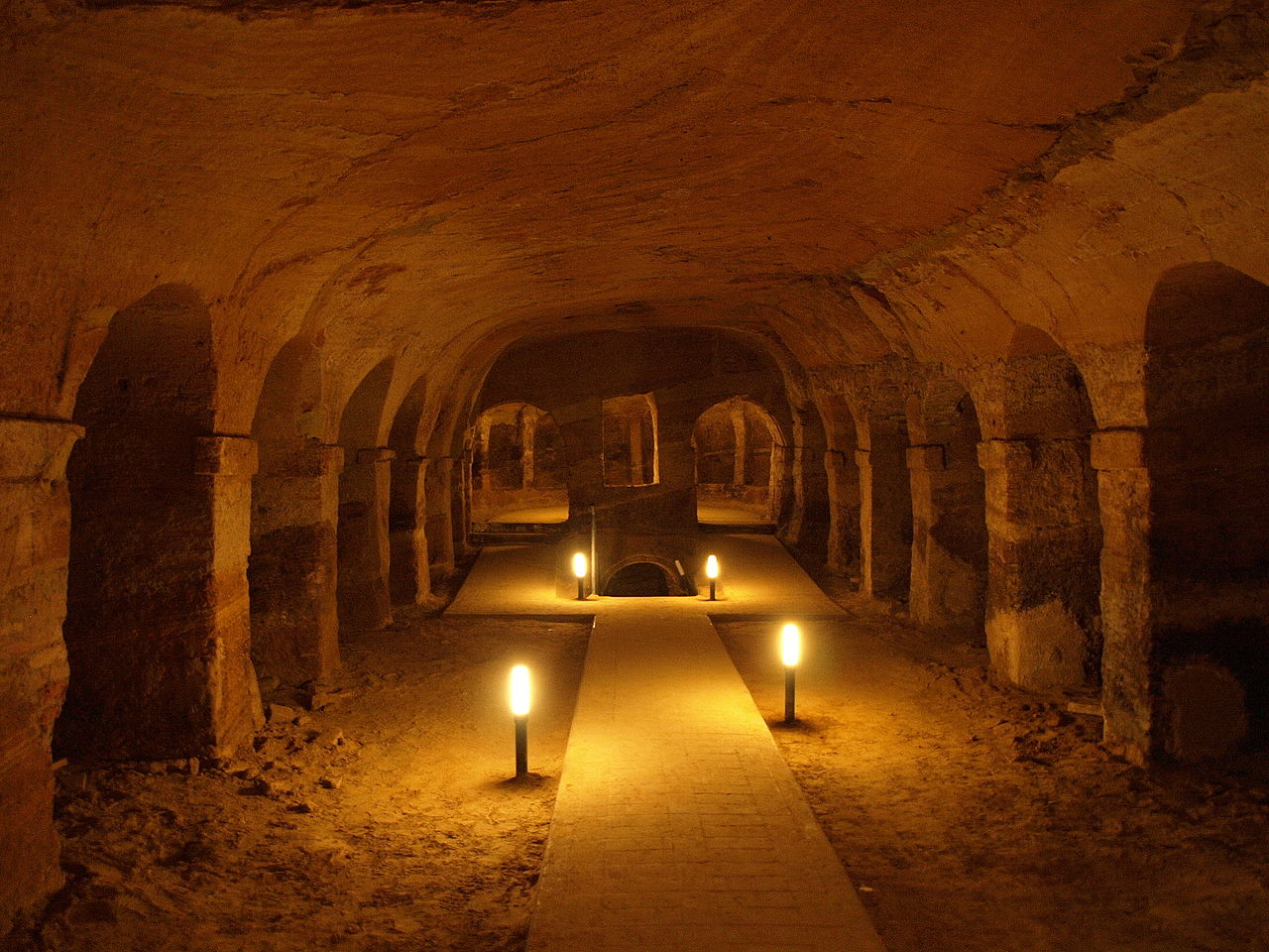 Cameranosotterranea