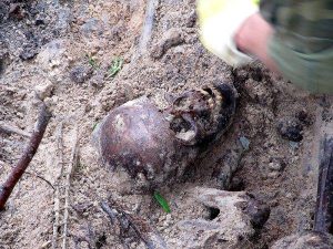Trovato nella foresta russa