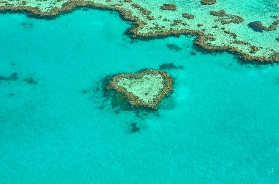 heart-1492445_960_720