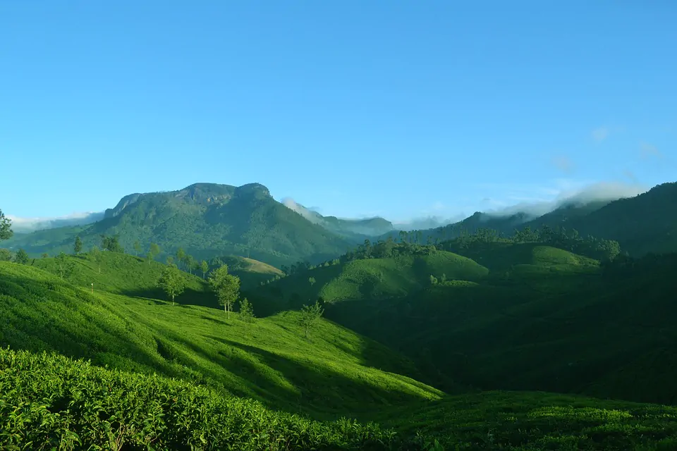 munnar-1639120_960_720