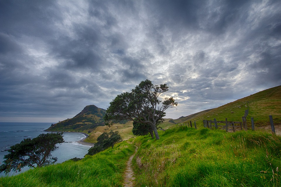 new-zealand-583174_960_720