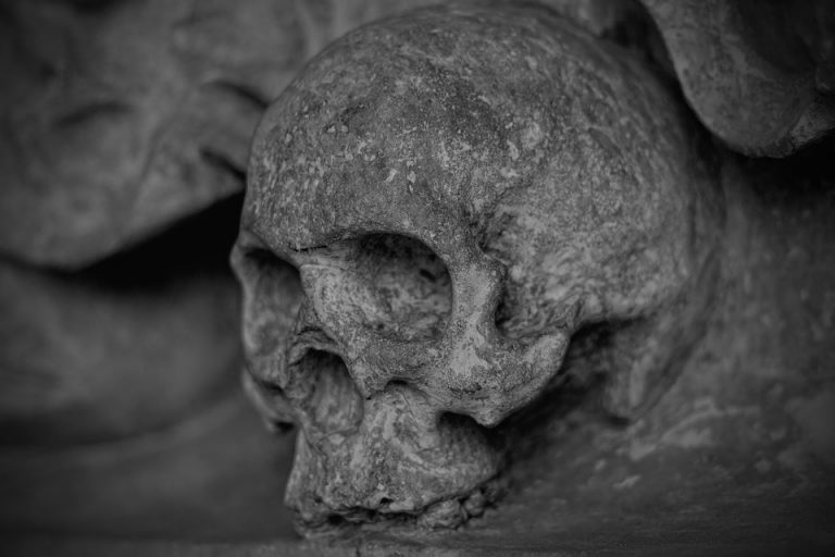 skull-and-crossbones-77949_960_720 Nazino