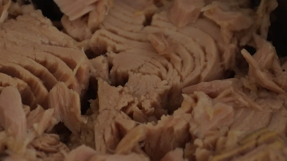tuna 439755 960 720
