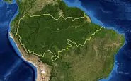 Amazzonia