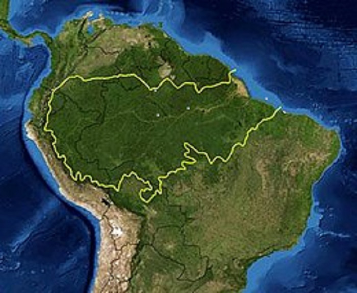 Amazzonia