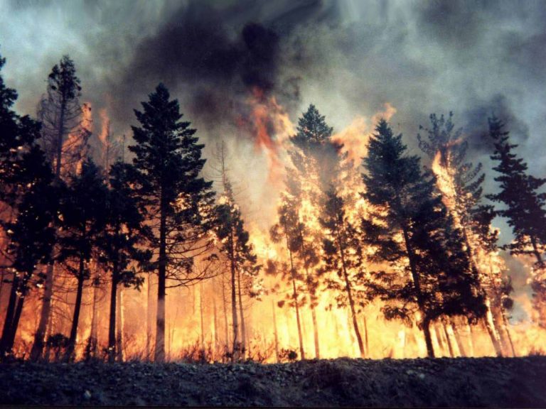Incendi