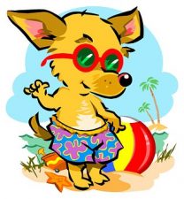 Spiagge dog-friendly
