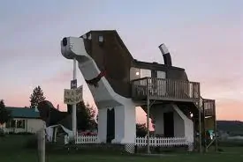 big hotel dog
