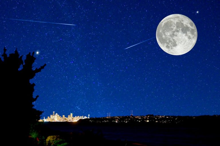 stelle cadenti
