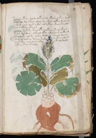 Voynich
