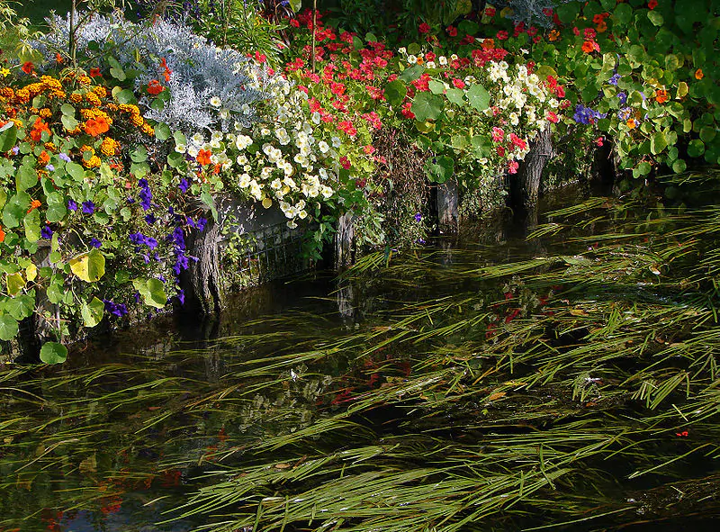 Hortillonnages d'Amiens