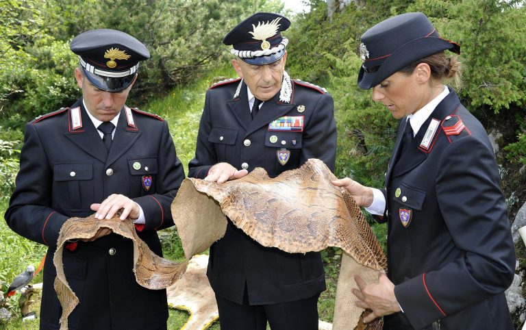 Agguato su statale 32enne ferito a braccia e torac ferito