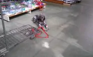 Cane nel supermercato