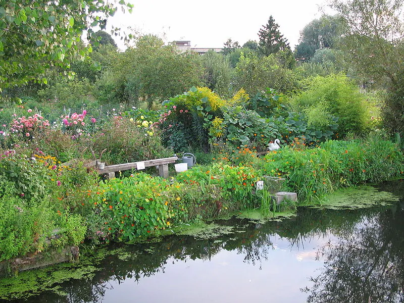 Hortillonages, Amiens