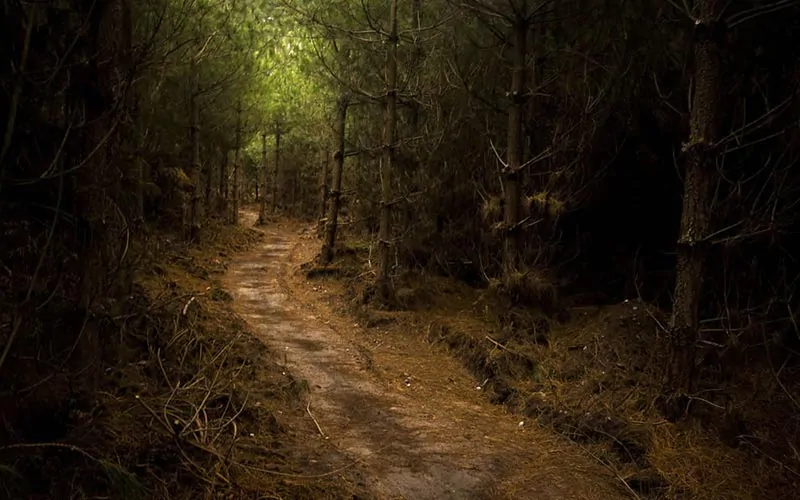 Wiccademous Grave Witch of Fernandina Beach is at the end of the trail