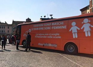 bus
