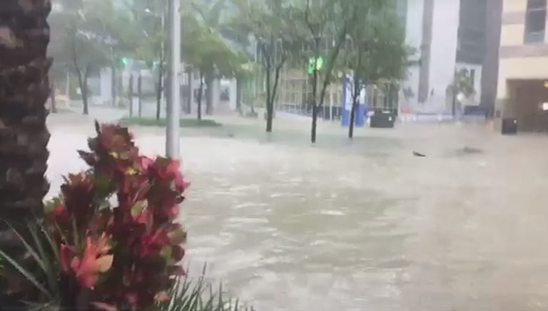 uragano irma florida