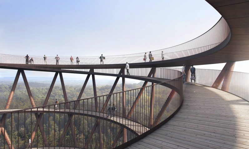 treetop experience