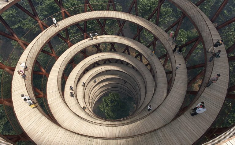 Passerella sospesa su una foresta: le foto passerella