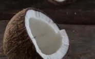 noce di cocco
