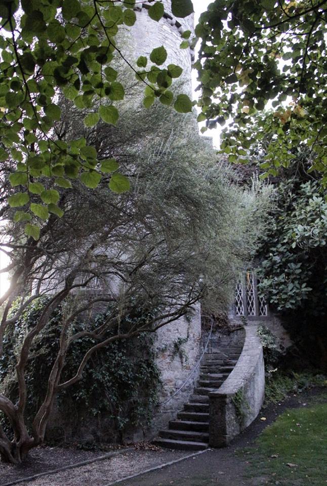 Particolare del castello irlandese