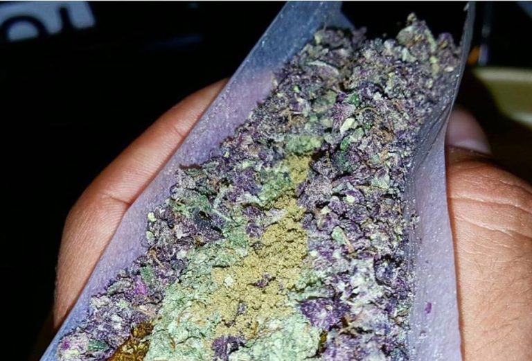 cannabis