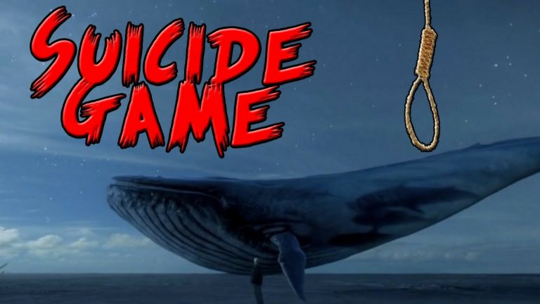 Blue Whale