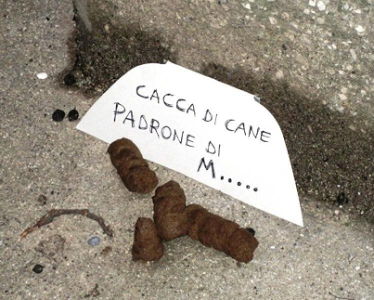 cacca-cane CANI