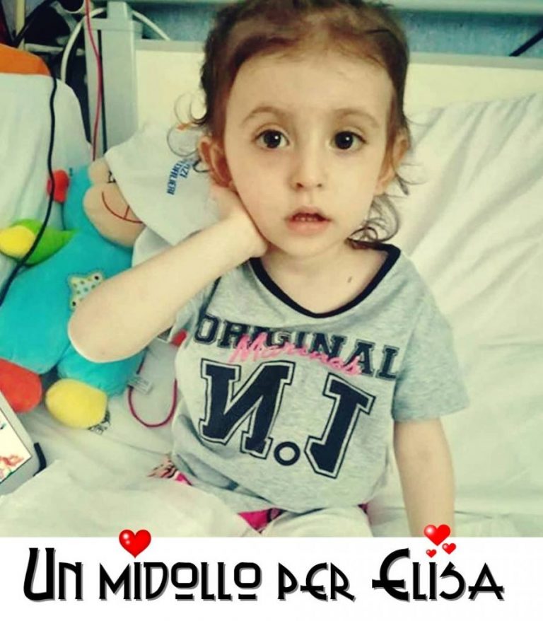 Elisa
