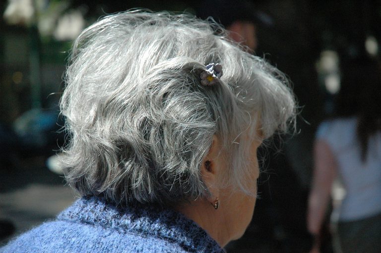 griglia