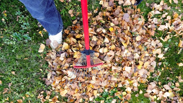 prodotti per migliorare il giardino prodotti per migliorare il giardino