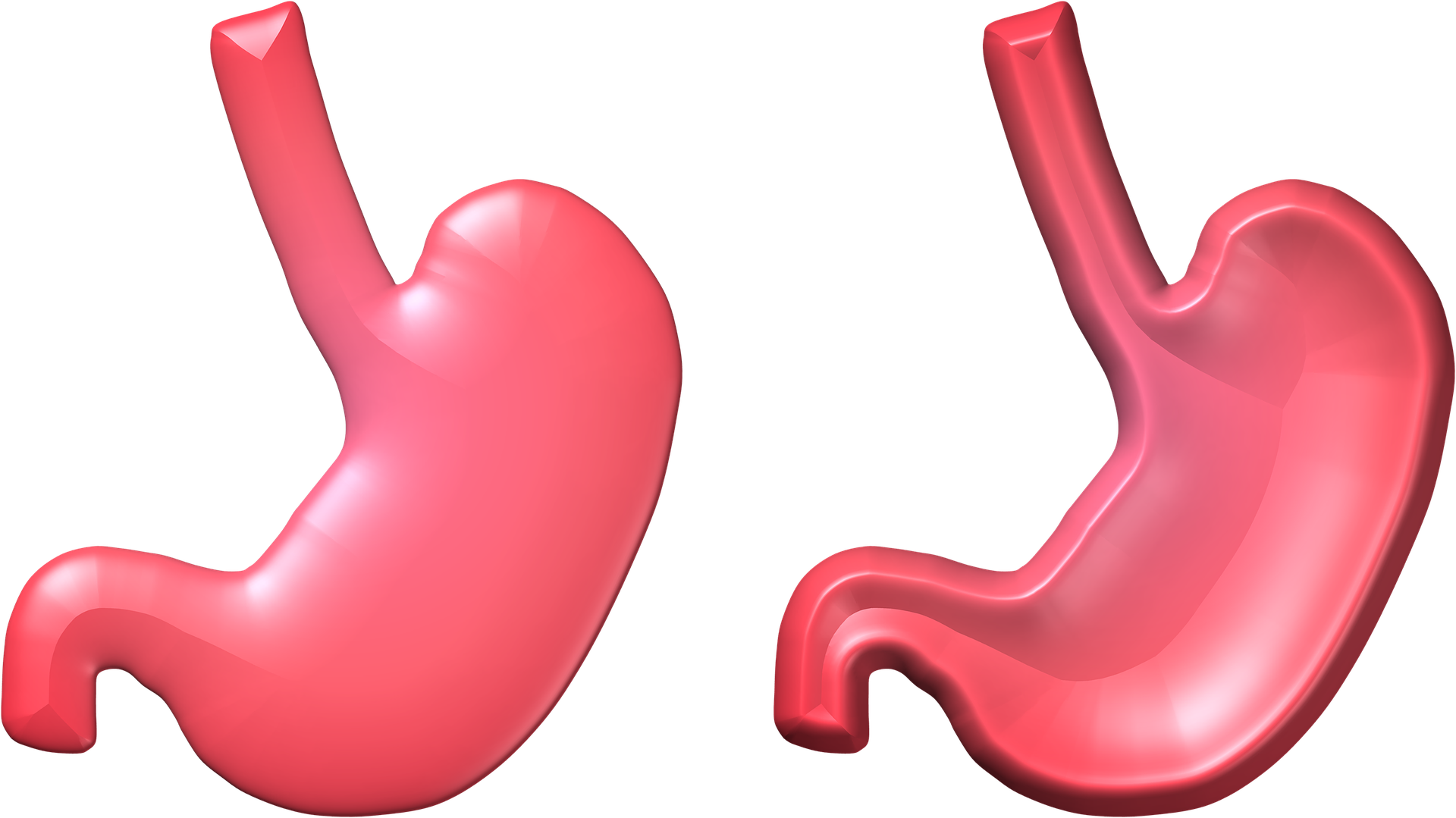 Digestione chimica e meccanica