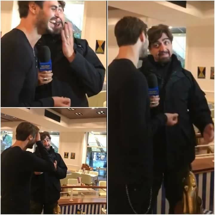 Tapiroforo e attapirato