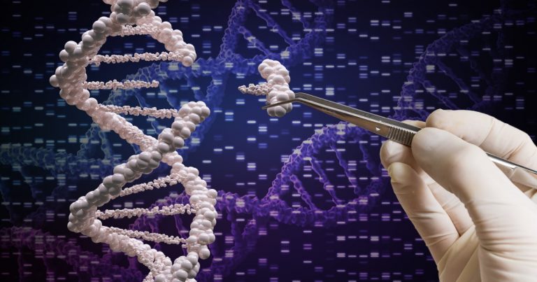 modificato dna